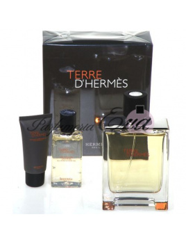 Hermes Terre D Hermes, Edt 100 + 5ml toaletní voda + 40ml sprchovy gel