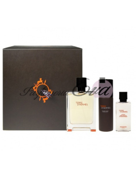 Hermes Terre D Hermes Parfum SET: Parfém 75ml + Parfém 12.5ml + Voda po holení 40ml