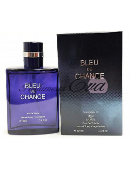 Chris Desinger Bleu de Chance, Toaletná voda 100ml (Výborná Alternativa toaletnej vody Chanel Bleu de Chanel)