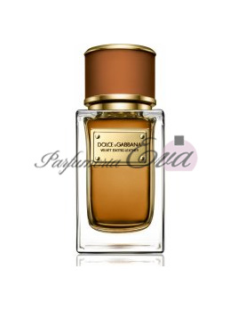 Dolce & Gabbana Velvet Exotic leather, Parfémovaná voda 100ml