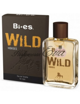 Bi-es Wild Horses, Toaletná voda 100ml (Alternatíva parfému Hermes Terre D Hermes)